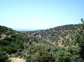 For sale:  land - Cyclades (5087-327) | Dom2000.com