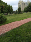 For sale:  1-room apartment in the new building - Teremki-1 (6412-328) | Dom2000.com #42681192