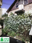 For sale:  home - Шевченка ул., Kirovograd city (9809-329) | Dom2000.com #68427827