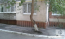 Lease office - Тупикова Генерала ул., Kyiv city (10071-333) | Dom2000.com #71199623