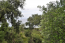 For sale:  land - Kerkyra (Corfu island) (8059-333) | Dom2000.com #54102884