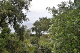 For sale:  land - Kerkyra (Corfu island) (8059-333) | Dom2000.com