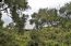 For sale:  land - Kerkyra (Corfu island) (8059-333) | Dom2000.com #54102886