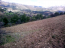 For sale:  land - Евія (7679-335) | Dom2000.com #51379415