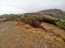 For sale:  land - Евія (7679-335) | Dom2000.com #51379416