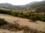For sale:  land - Евія (7679-335) | Dom2000.com #51379417