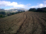 For sale:  land - Евія (7679-335) | Dom2000.com #51379418