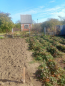 Продам земельный участок - 6-я улица, г. Ейск (10636-337) | Dom2000.com #77826804