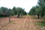For sale:  land - Kassandra (4113-338) | Dom2000.com #24478649