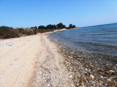 For sale:  land - Sithonia (4120-339) | Dom2000.com