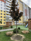 For sale:  3-room apartment in the new building - Гвардейцев Широнинцев ул., Harkiv city (10001-340) | Dom2000.com #70465606