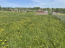 For sale:  land - д. Mikshi-Enzey (10616-340) | Dom2000.com #77231508