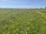For sale:  land - д. Mikshi-Enzey (10616-340) | Dom2000.com #77231510