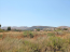 For sale:  land - Attiki (4116-340) | Dom2000.com #24511125