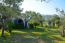 For sale:  home - Thasos (5040-345) | Dom2000.com #32399976