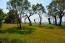 For sale:  home - Thasos (5040-345) | Dom2000.com #32399985
