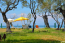 For sale:  home - Thasos (5040-345) | Dom2000.com #32399986