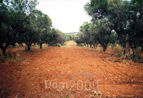 For sale:  land - Chalkidiki (4114-346) | Dom2000.com