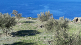 For sale:  land - Cyclades (7511-347) | Dom2000.com