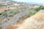 For sale:  land - Cyprus (5087-348) | Dom2000.com #32748812