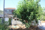 For sale:  home - Iraklion (crete) (7673-350) | Dom2000.com #51338562