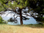 For sale:  land - Sithonia (4111-351) | Dom2000.com #24457003