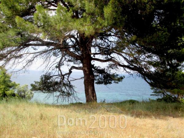 For sale:  land - Sithonia (4111-351) | Dom2000.com