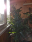 For sale:  2-room apartment - Гагарина просп., Harkiv city (10001-353) | Dom2000.com #70465663