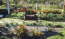 Lease home - садоводство Лісове str., Torf'yane village (9802-354) | Dom2000.com #68363652