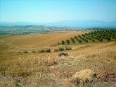 For sale:  land - Athos (6909-357) | Dom2000.com