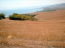 For sale:  land - Athos (6909-357) | Dom2000.com #45915814