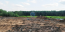 For sale:  shop - д. Izmaylovo (10256-358) | Dom2000.com #73253413