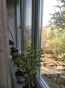 For sale:  2-room apartment - Г.Батюка переулок, 38/2, Slov'yansk city (9670-363) | Dom2000.com #67129119