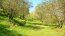 For sale:  land - Kerkyra (Corfu island) (7239-364) | Dom2000.com #50583951