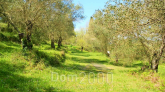 For sale:  land - Kerkyra (Corfu island) (7239-364) | Dom2000.com
