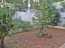For sale:  home - Athens (4110-365) | Dom2000.com #24446356
