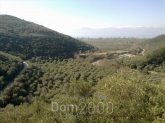 For sale:  land - Volos (4971-366) | Dom2000.com