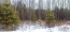For sale:  land - дп. Iskra (10539-368) | Dom2000.com #76399115