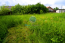 For sale:  land - Центральная улица, 30 str., д. Ovchinki (10465-370) | Dom2000.com #75565463