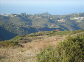 For sale:  land - Kassandra (4109-371) | Dom2000.com