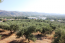 For sale:  land - Iraklion (crete) (4111-371) | Dom2000.com #24457257