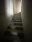 For sale:  home - Польова д.1, Borispil city (9804-376) | Dom2000.com #68383049