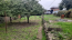 Продам магазин - улица Нозадзе, 3, г. Ростов-на-Дону (10413-377) | Dom2000.com #74987949