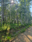 For sale:  land - ДНП Вымпел, п. Novaya Razvodnaya (10422-377) | Dom2000.com #75743232