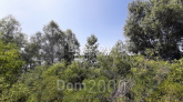 Продам земельну ділянку - с. Козаровичі (10086-378) | Dom2000.com