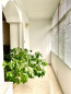 Lease 5-room apartment - Героев Обороны, str., Golosiyivskiy (9099-379) | Dom2000.com #61984765