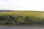 For sale:  land - Kassandra (5006-381) | Dom2000.com #32120245