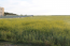 For sale:  land - Kassandra (5006-381) | Dom2000.com #32120247