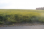 For sale:  land - Kassandra (5006-381) | Dom2000.com #32120248