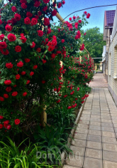 For sale:  home - улица Сазонова, Eysk city (10636-382) | Dom2000.com